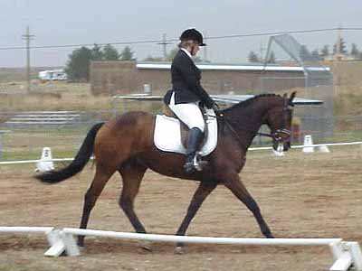 Vicki and Phillipe - Dressage
